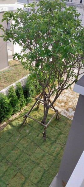 PrawPlusProBuild.com ครบเครื่องเรื่องก่อสร้าง 41 รับเหมาก่อสร้างสมุทรปราการ